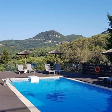 Diogenis Parga Studios Exteriör bild