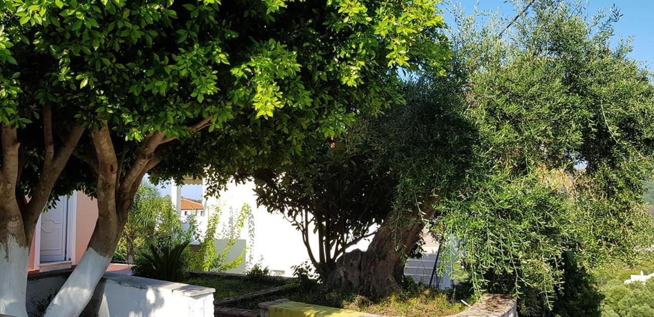 Diogenis Parga Studios Exteriör bild