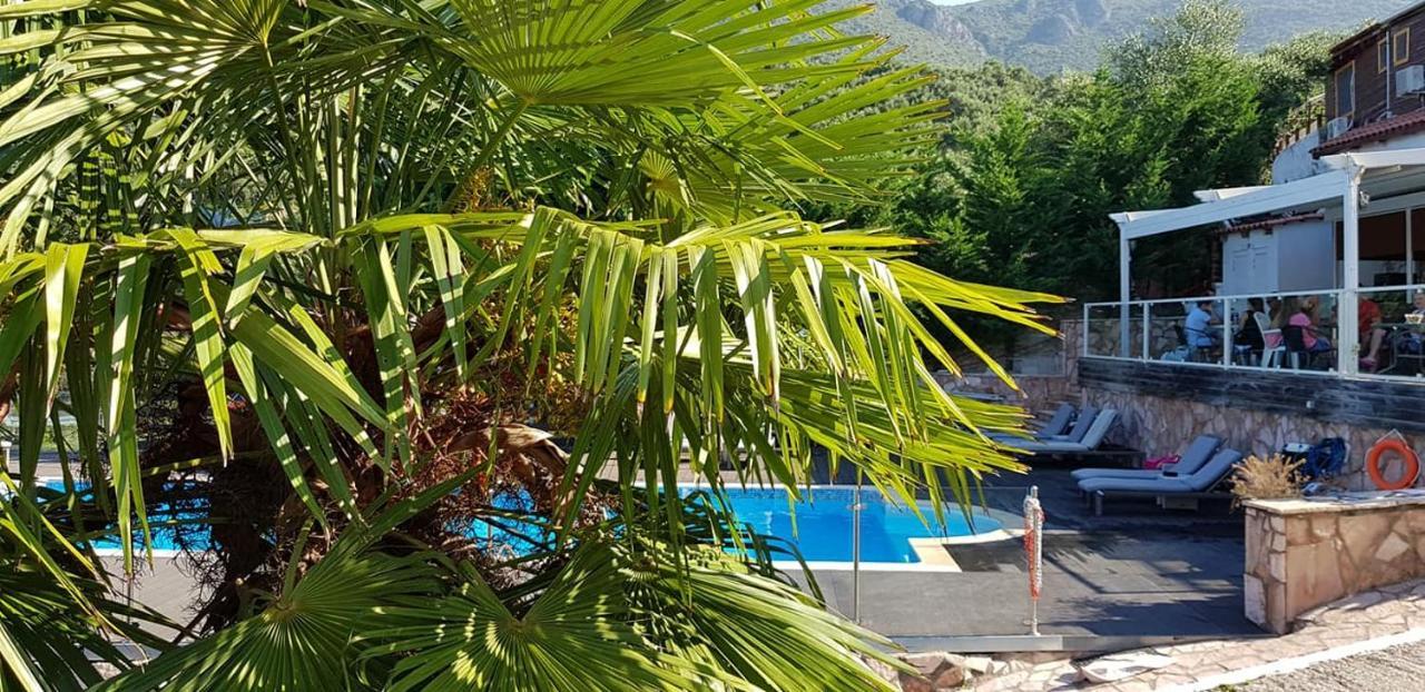 Diogenis Parga Studios Exteriör bild