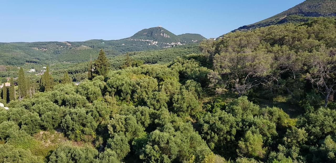 Diogenis Parga Studios Exteriör bild