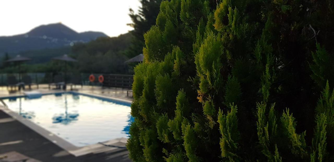 Diogenis Parga Studios Exteriör bild