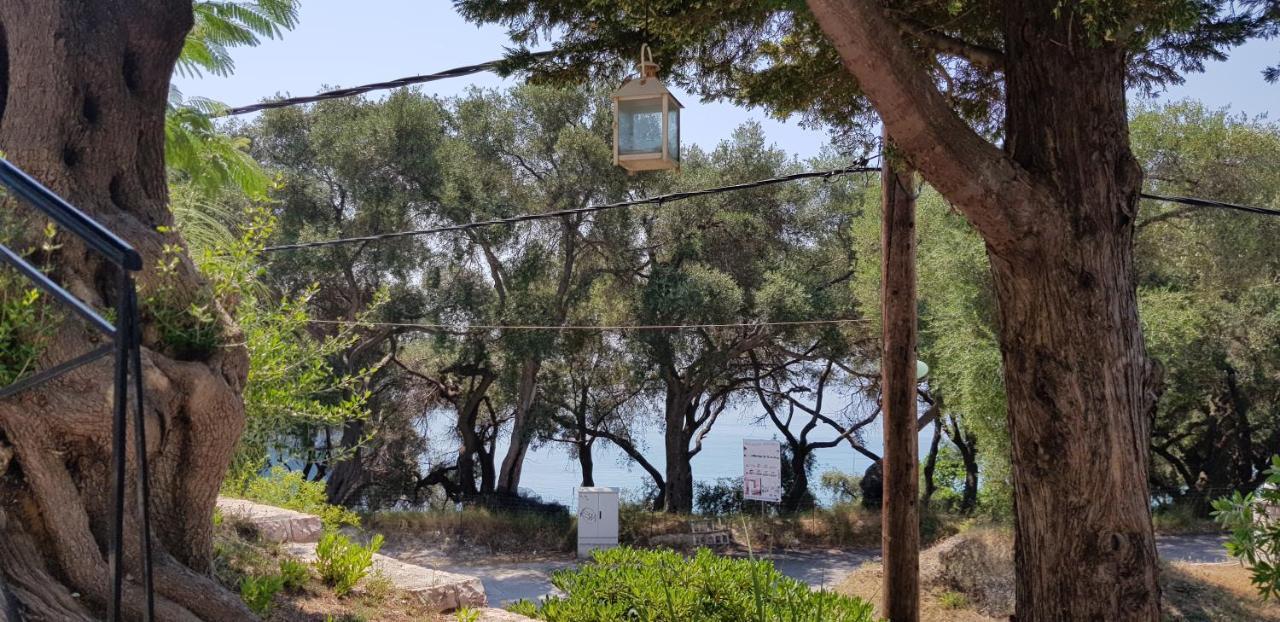 Diogenis Parga Studios Exteriör bild